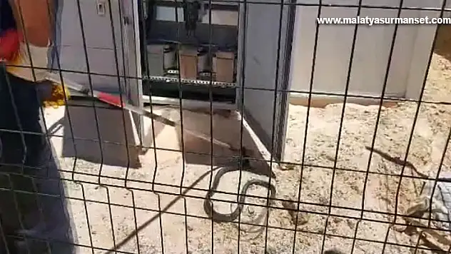 Elektrik panosuna giren yılanı itfaiye çıkardı