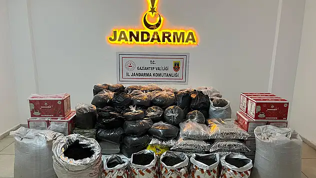 Gaziantep'te gümrük kaçağı çaya el konuldu