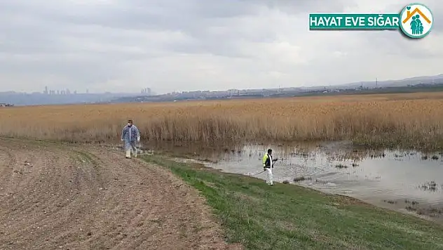 Gölbaşı Belediyesinden böceklere karşı ilaçlama