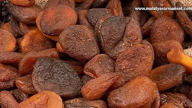 Gün kurusu kayısının kilogramı 230 liradan satıldı