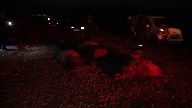 Hafif ticari araç sürüye daldı, 10'dan fazla koyun telef oldu