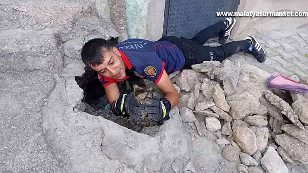 İtfaiye ekipleri kanalizasyon çukuruna düşen kedi için seferber oldu