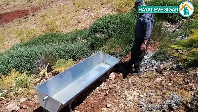 Kavurucu sıcaklarda yaban hayvanları unutulmadı