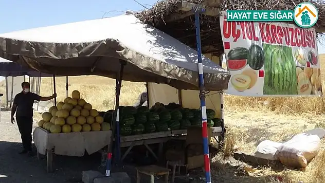 Kavurucu sıcakta karpuz ve kavun satarak ekmek parasını kazanıyor