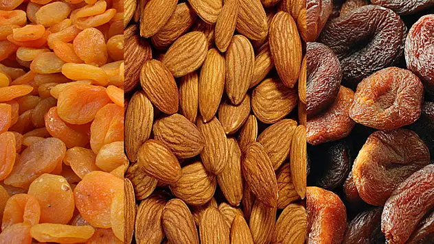 Kayısı Çekirdeği Şifa mı Zehir mi? Günde 3 Adetten Fazlası Ölümcül Olabilir!