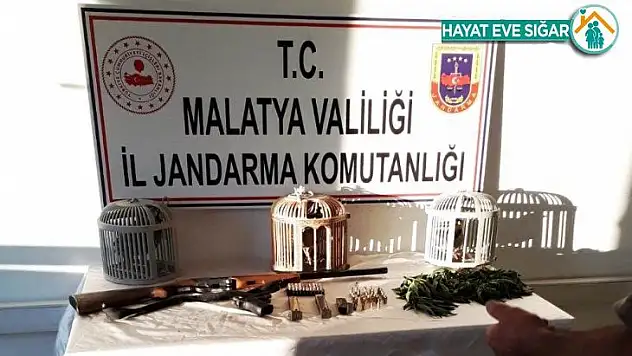 Keklik avına ceza