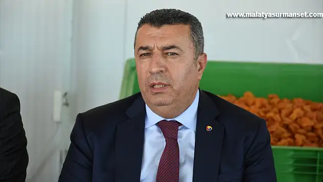 Malatya'da 385 bin ton yaş kayısı rekoltesi bekleniyor