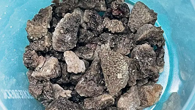 Malatya'da 8 Santimlik Geyik Boynuzu Taş Çıkarıldı