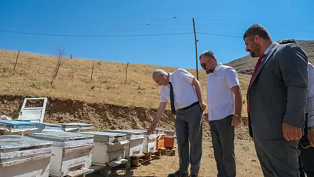 Malatya'da Arıcılıkta Verim ve Bereketin Sırrı Ne?