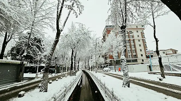 Malatya'da Don ve Buzlanma Tehlikesi Sürücüler Dikkat!