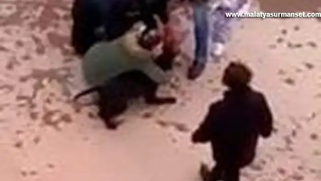Minik Asiye'ye pitbull saldırısında tutuklama sayısı 5'e çıktı