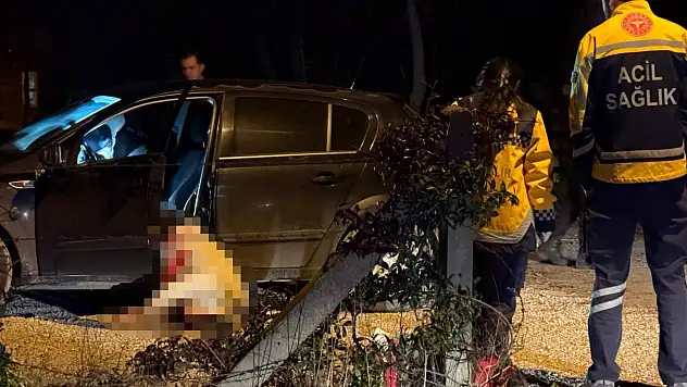 Otomobilde işlenen cinayetle ilgili 2 tutuklama