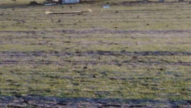 Rus askeri helikopteri takla atarak düştü 2 ölü