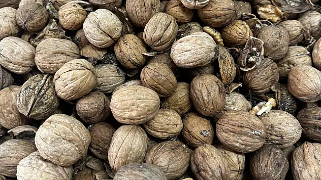 Son kullanma tarihi geçen 600 kiloluk ürüne el konuldu