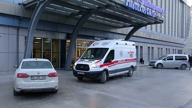 Tabahcayla deneme atışı yaparken kazara kendini vurdu