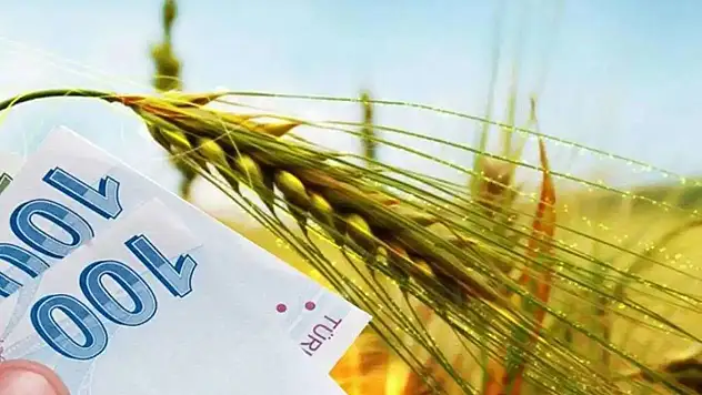 Tarımsal Destek Ödemeleri Dağıtılıyor! Kim, Ne Kadar Alacak?