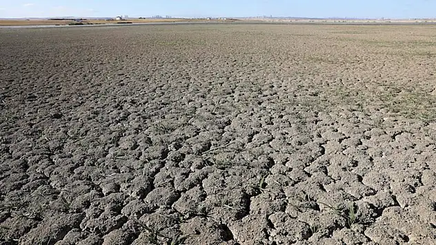 Türkiye'de İçme Suyu Alarm Veriyor: İşte Tehlikenin Boyutu