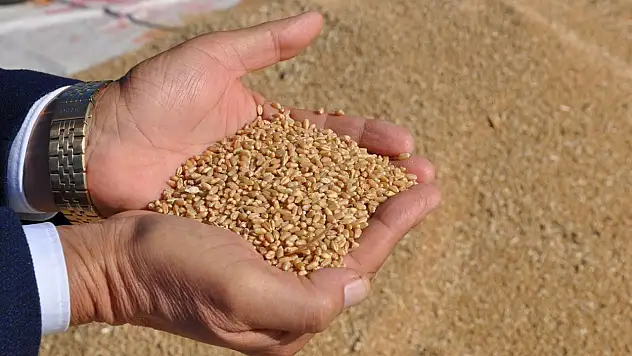 Türkiye'den 8 milyar dolarlık hububat ve bakliyat ihracatı!