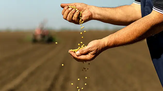 Türkiye'nin Tarım Geliri 74 Milyar Dolara Ulaştı Rekor Kırıldı
