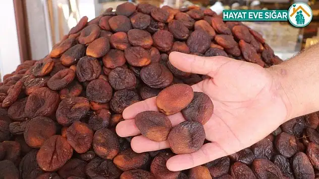 Ünü ülke sınırlarını aşan kuru kayısıda tahmini rekolte açıklandı