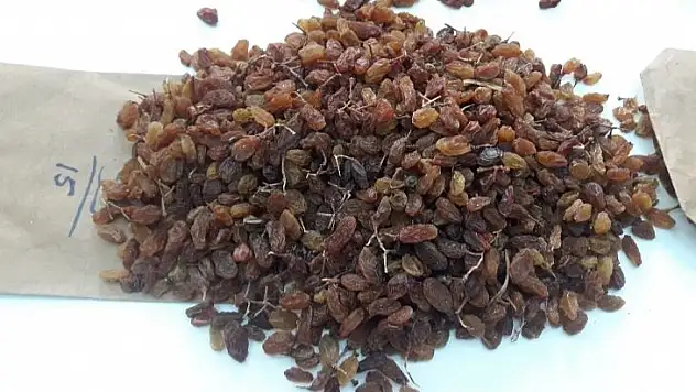 Üzümde ürün çeşitliliği rekabetçiliği arttıracak