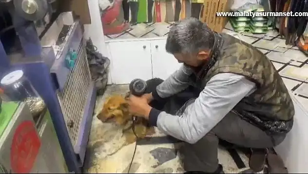 Yağmurda ıslanan sokak köpeğini fön makinesiyle kuruladı