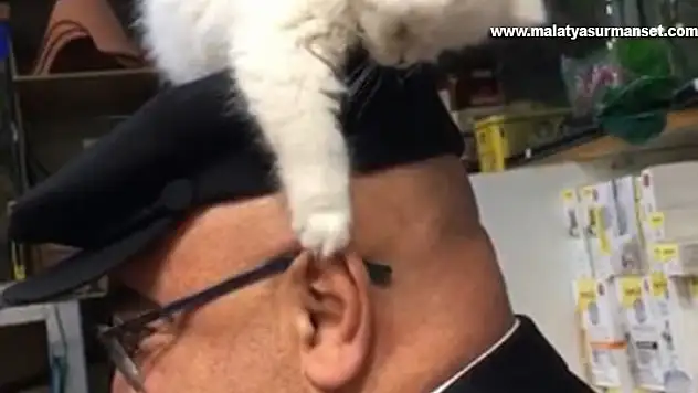 Yavru kedi ile müşterinin sevimli halleri gülümsetti
