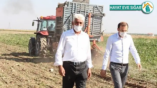 Yazıhan'da pancar hasadı başladı