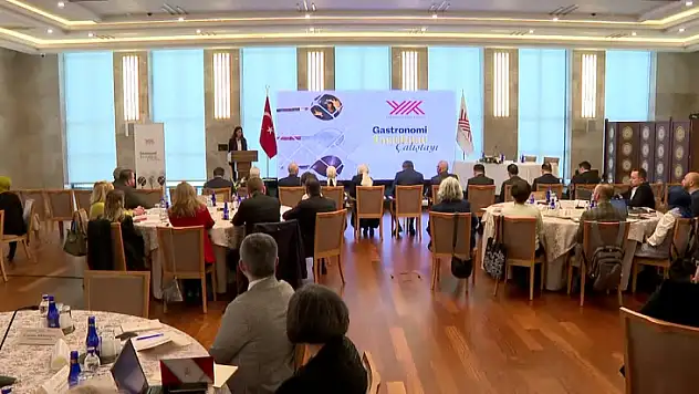 YÖK Gastronomi Enstitüsü kuruyor