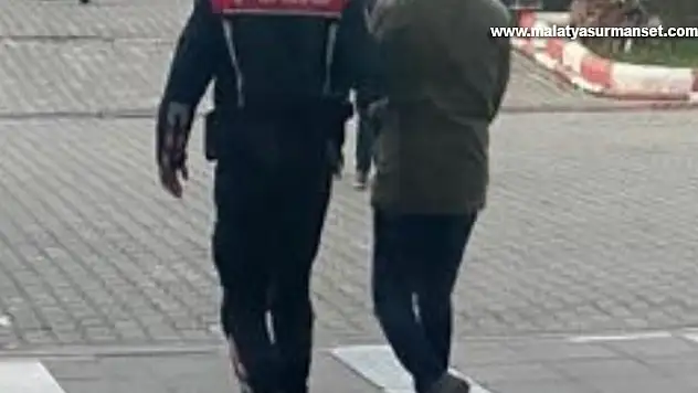 Zeytinyağı hırsızları yakalandı