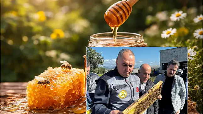 TAB Başkanı Ali Demir: Koloni sayısı azaldı, bal üretimi arttı
