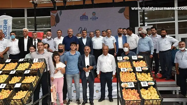 'En iyi yaş kayısı' yarışması yapıldı