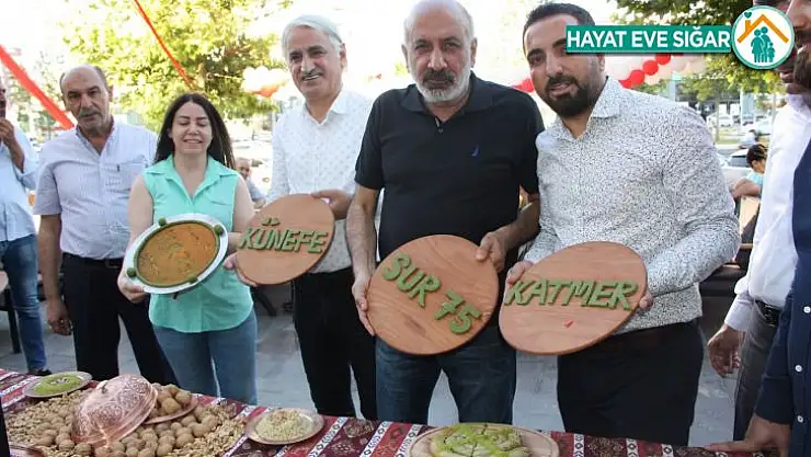 1 milyonluk yatırımla Sur motifleri metropole taşındı