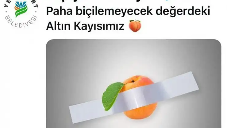 120 bin dolarlık muza kayısılı gönderme