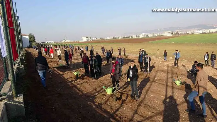 15 Temmuz şehitleri anısına 251 zeytin fidanı dikildi
