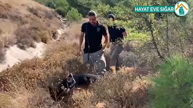 15 yıl sonra ortaya çıkan korkunç cinayete zorla katılmış