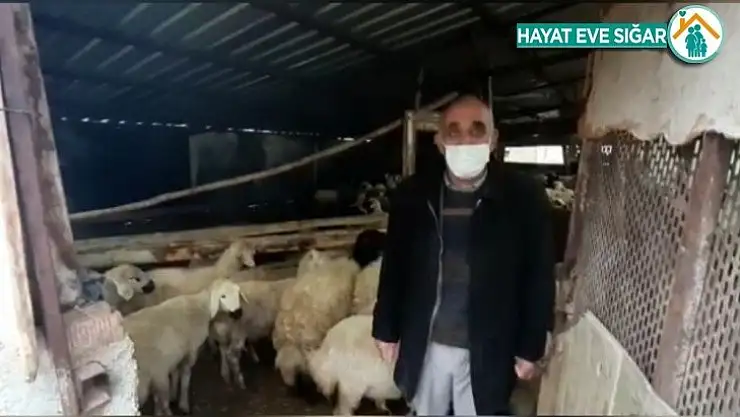 18 hayvanı çalınan besicinin yüzünü jandarma güldürdü