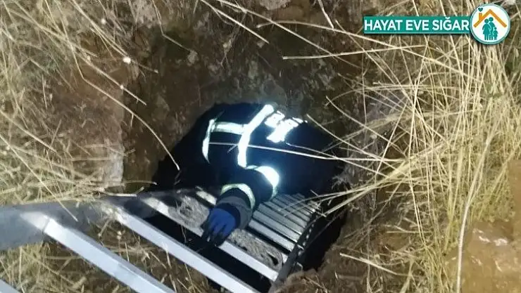 2 gün önce kaybolan köpek su kuyusunda bulundu