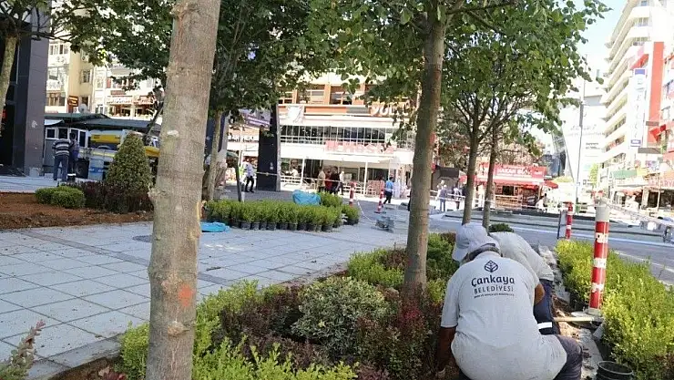 Ankara Büyükşehir Belediyesi ve Çankaya Belediyesi birlikte çalışıyor
