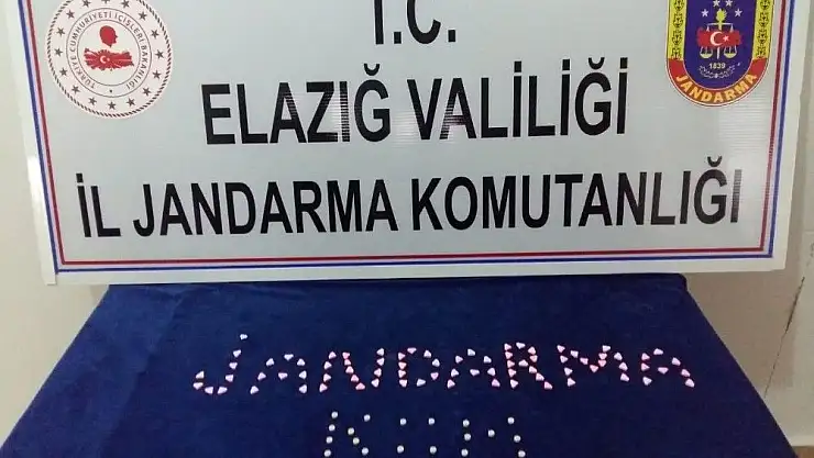 Narkotik köpeği tepki verdi, uyuşturucu ele geçirildi
