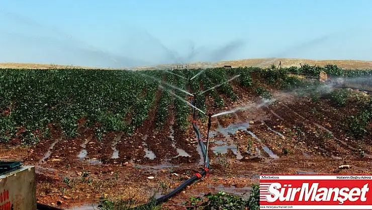 25 sulama birliğinin Dicle Elektrik'e olan borcu yarım milyar liraya yaklaştı