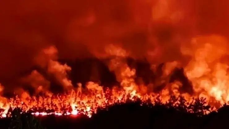 3 ildeki 4 orman yangını devam ediyor