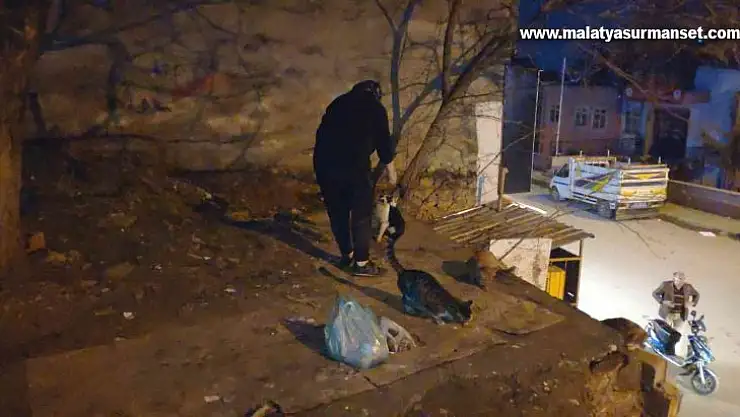 30 yıldır 40 kedi ve 10 köpeği besliyor