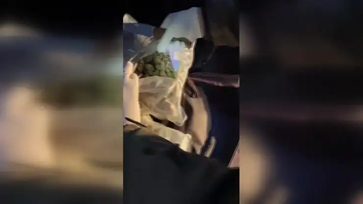 31 Kilo 950 Gram Sentetik Uyuşturucu Ele Geçirildi