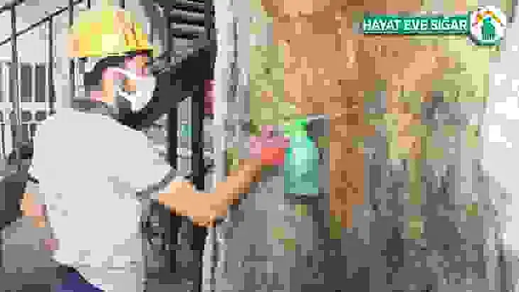 400 yıllık ağaca özel bakım