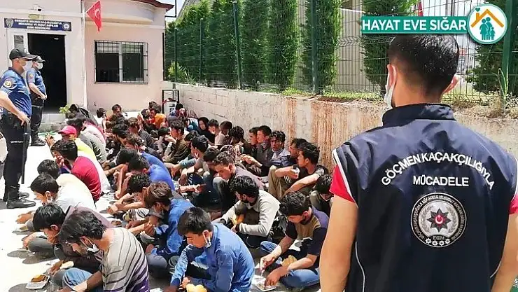 74 mültecinin ölüm yolculuğu Osmaniye'de son buldu