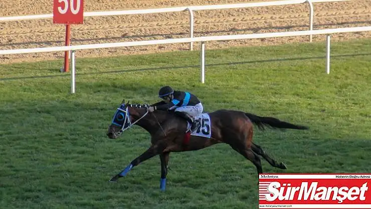 81. Cumhurbaşkanlığı Koşusu'nu 'Long Runner' kazandı