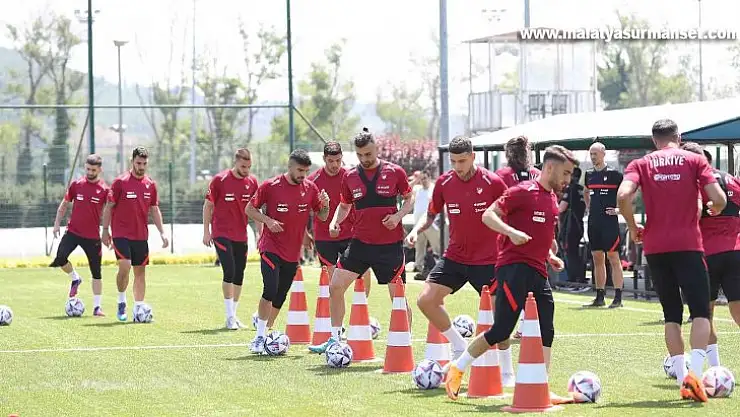 A Milliler, Litvanya yolculuğu öncesi suni çimde çalıştı