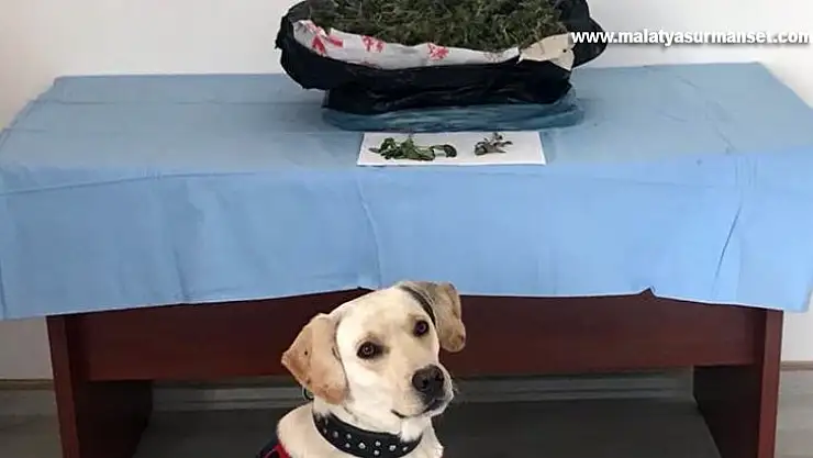 Adana'da uyuşturucu operasyonu: 2 gözaltı