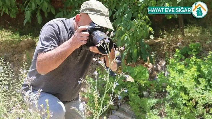 Adım adım gezdiği doğada 150 tür kelebeği fotoğraflamayı başardı